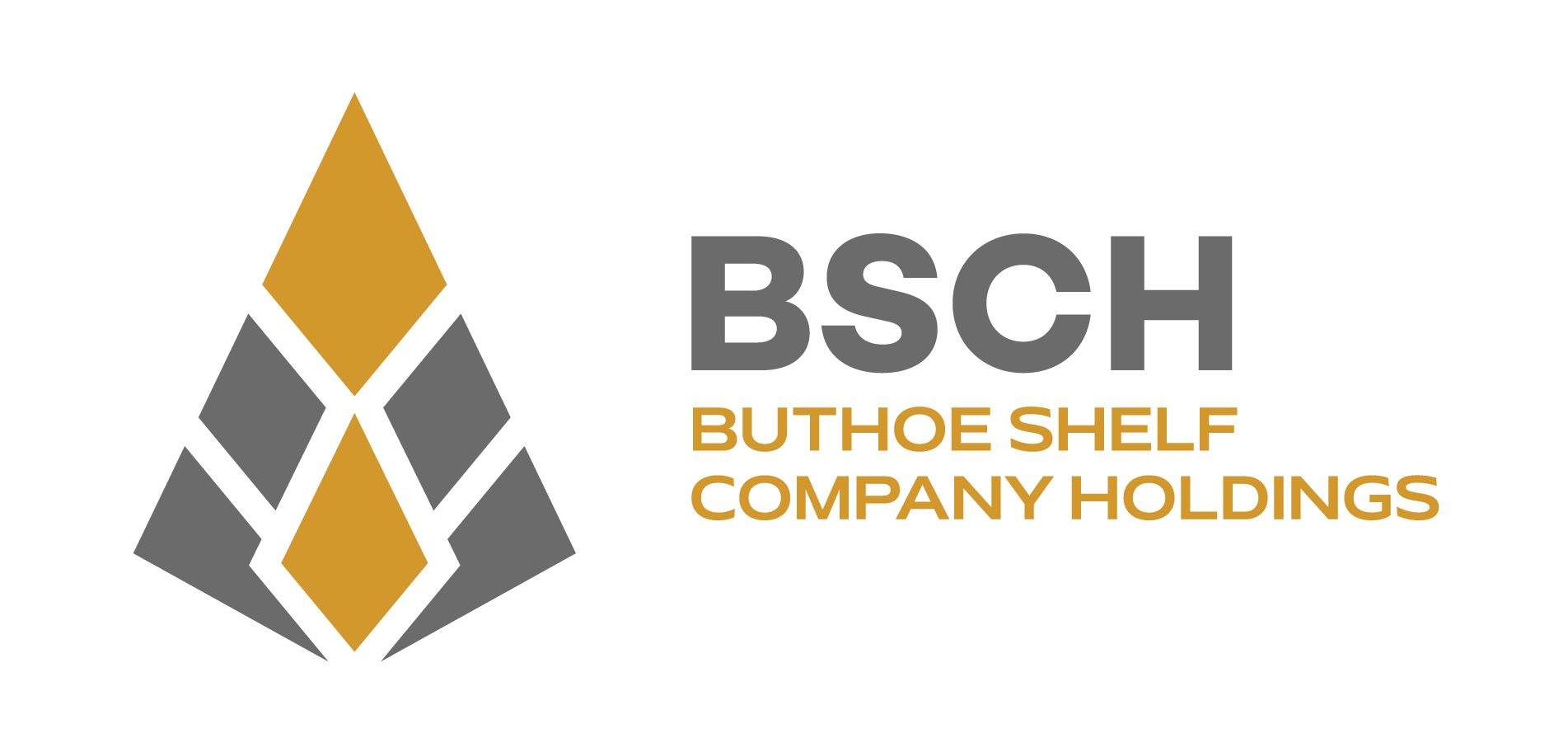 BSCH – Shelf Companies and New Company Registrations